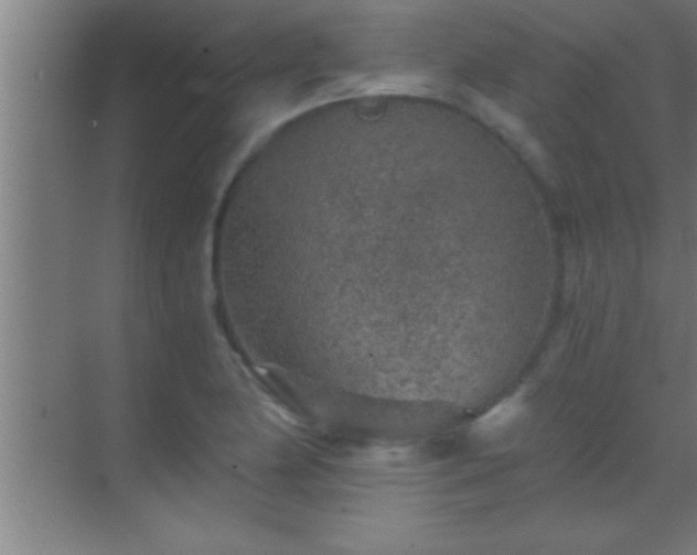 X0000069831174200605261833