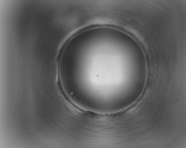 X0000069831175200605261833