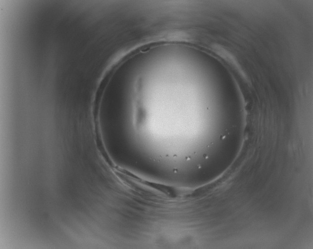 X0000069831176200605261833