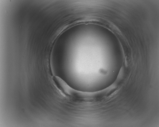 X0000069831177200605261833