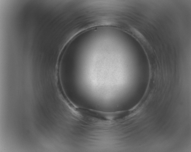 X0000069831178200605261833