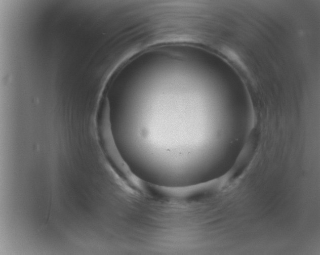 X0000069831181200605261833