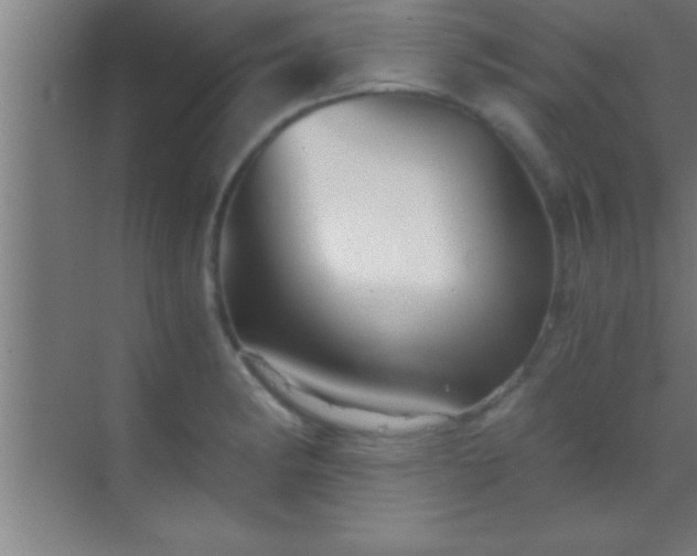 X0000069831182200605261833