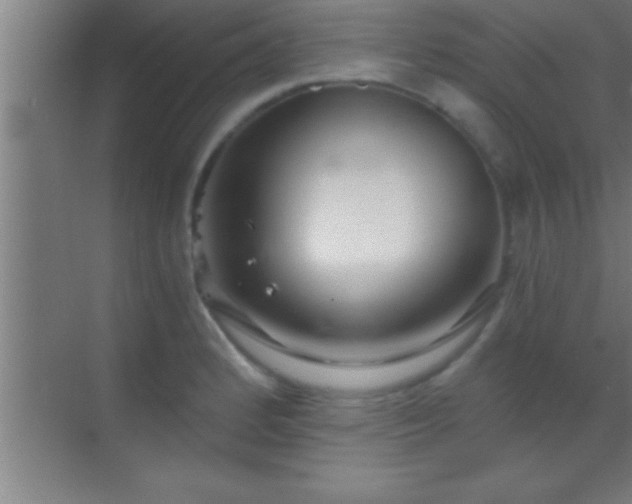 X0000069831184200605261833