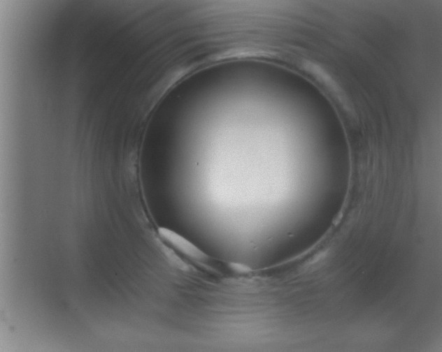 X0000069831185200605261833