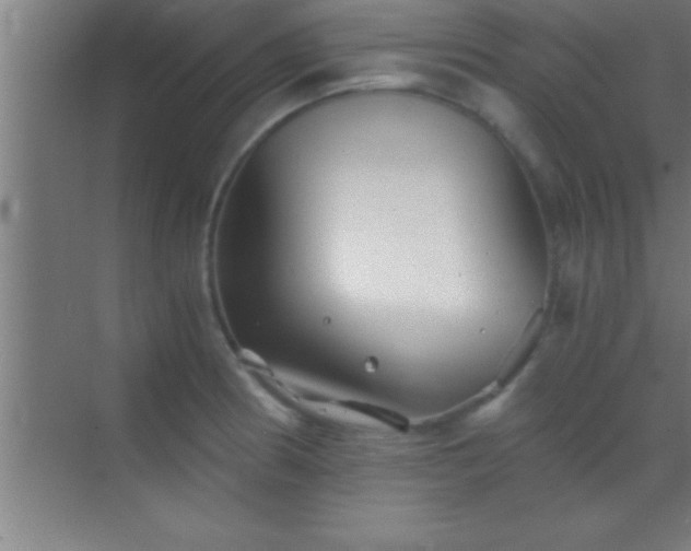 X0000069831186200605261833