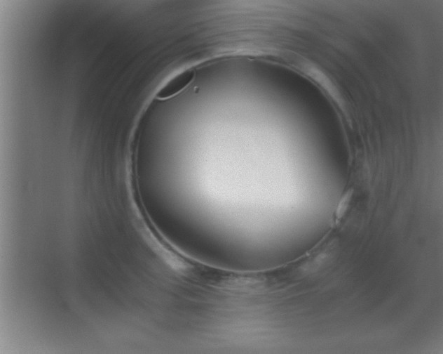 X0000069831187200605261833