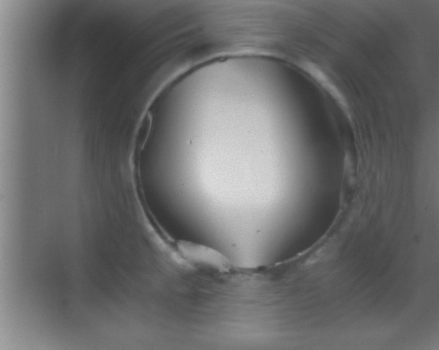 X0000069831189200605261833