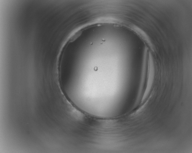 X0000069831192200605261833