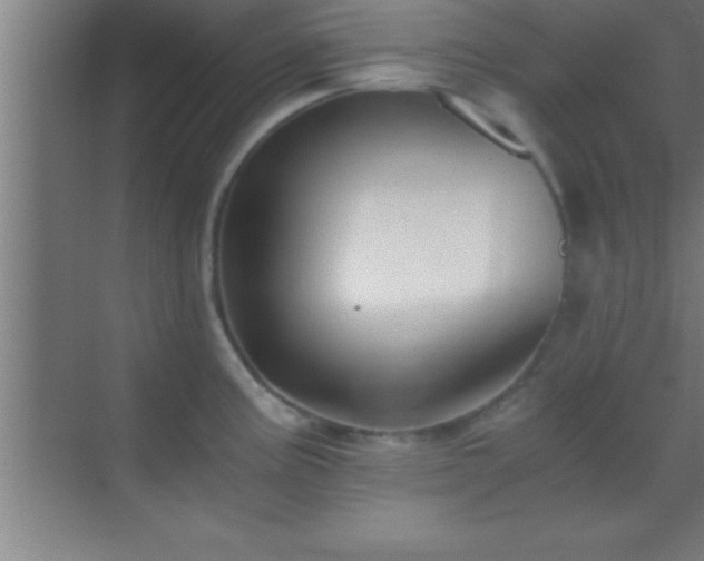 X0000069831195200605261833