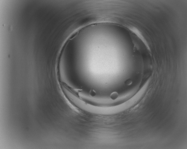 X0000069831197200605261833