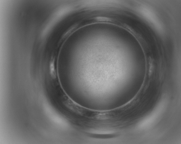 X0000069831198200605261833