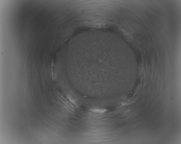 X0000069831202200605261832