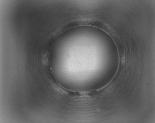 X0000069831204200605261832