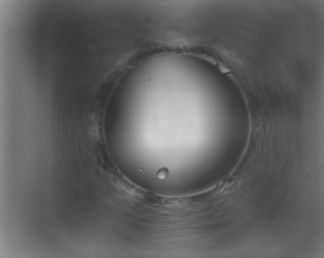 X0000069831205200605261832