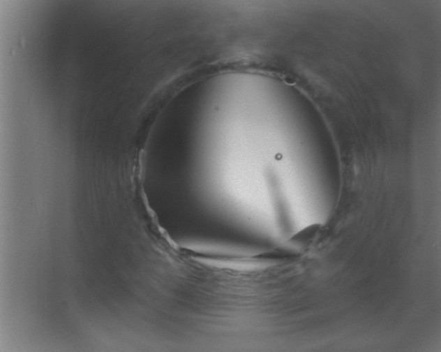 X0000069831206200605261832