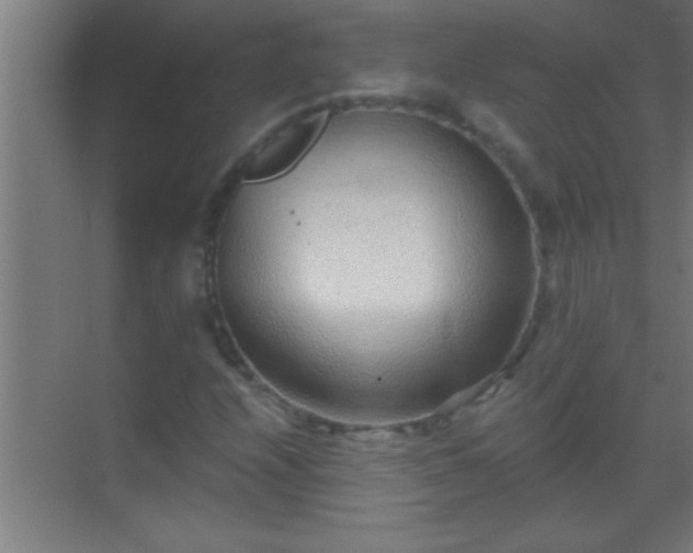 X0000069831208200605261832