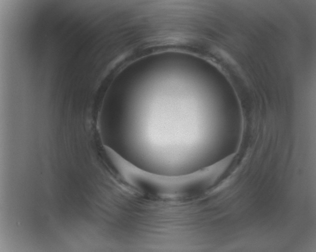 X0000069831210200605261832