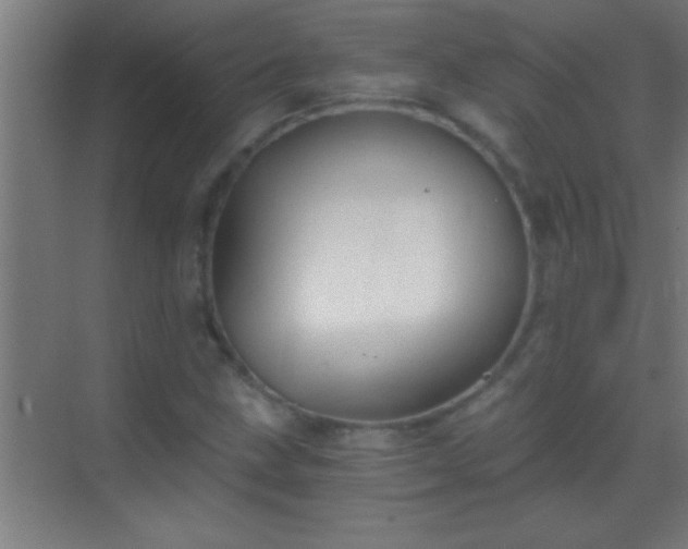 X0000069831211200605261832