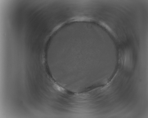 X0000069831213200605261832