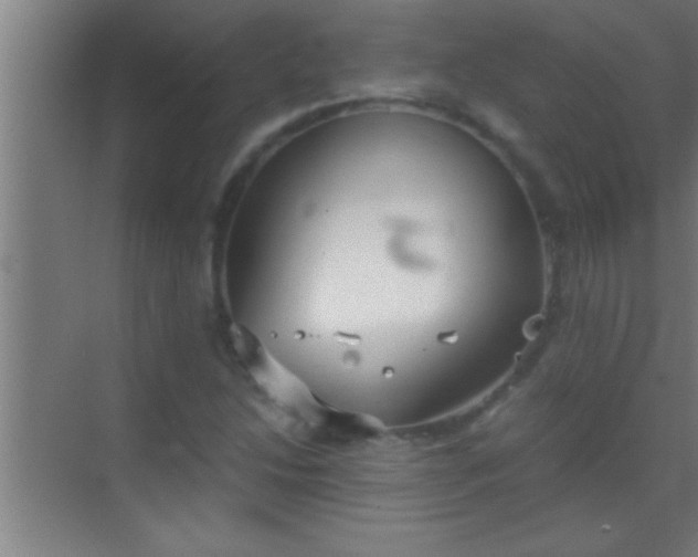 X0000069831214200605261832