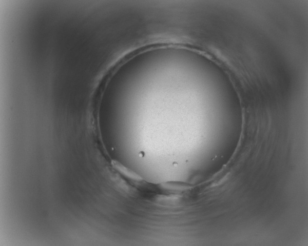 X0000069831215200605261832