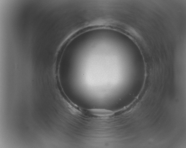 X0000069831216200605261832