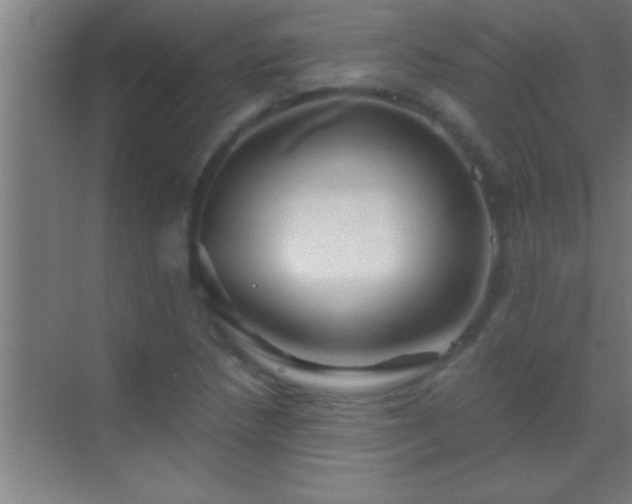 X0000069831218200605261832