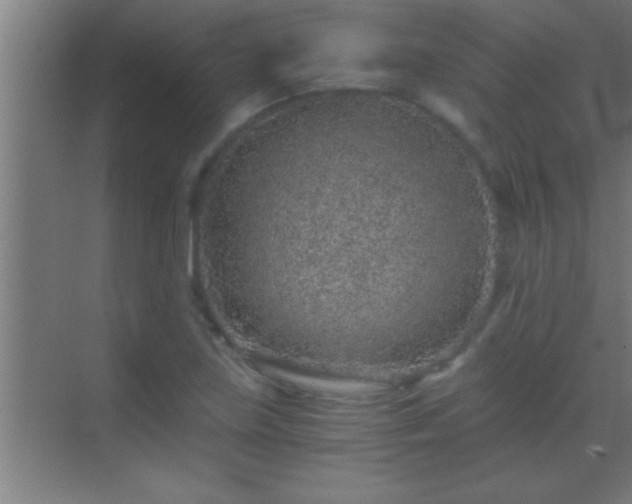 X0000069831219200605261832