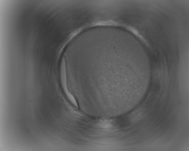 X0000069831221200605261832