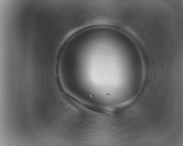 X0000069831222200605261832