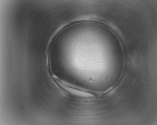 X0000069831224200605261832