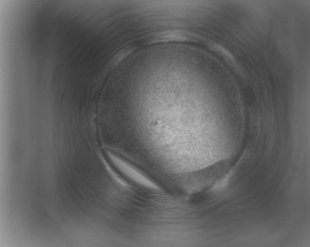 X0000069831225200605261832