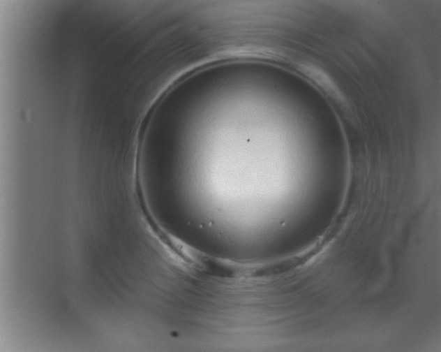 X0000069831228200605261832