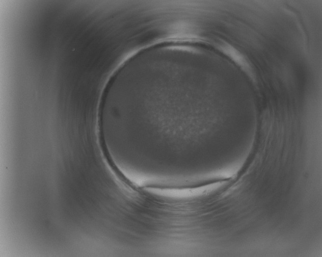 X0000069831229200605261832