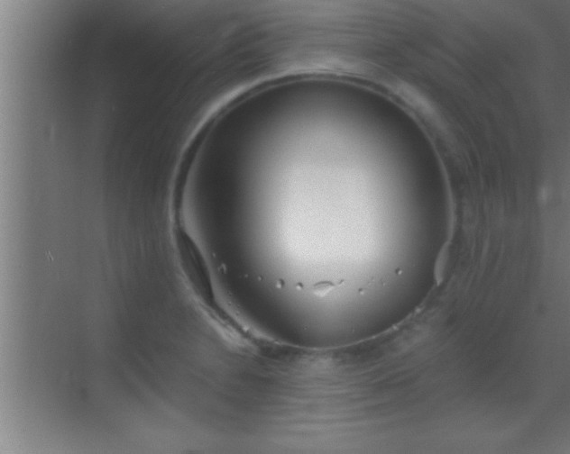 X0000069831230200605261832