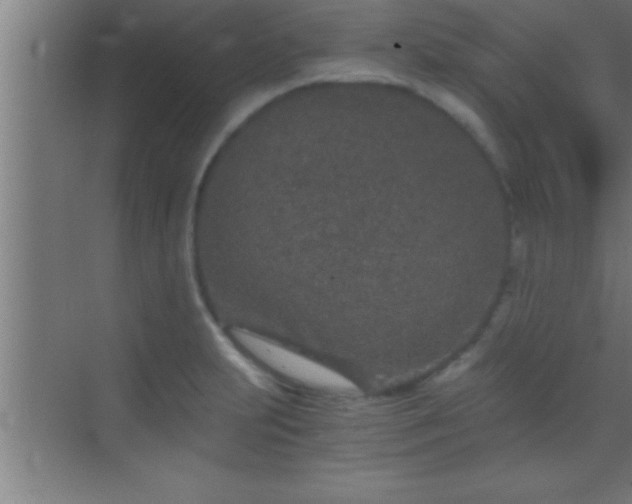 X0000069831231200605261832