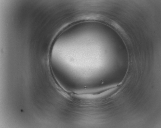 X0000069831232200605261832