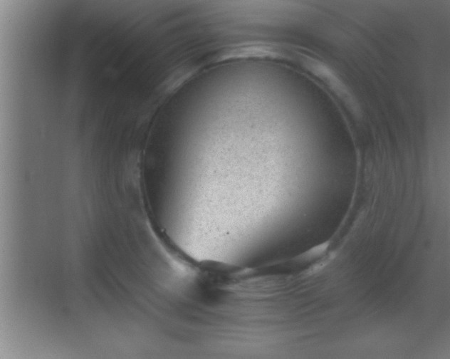 X0000069831233200605261832