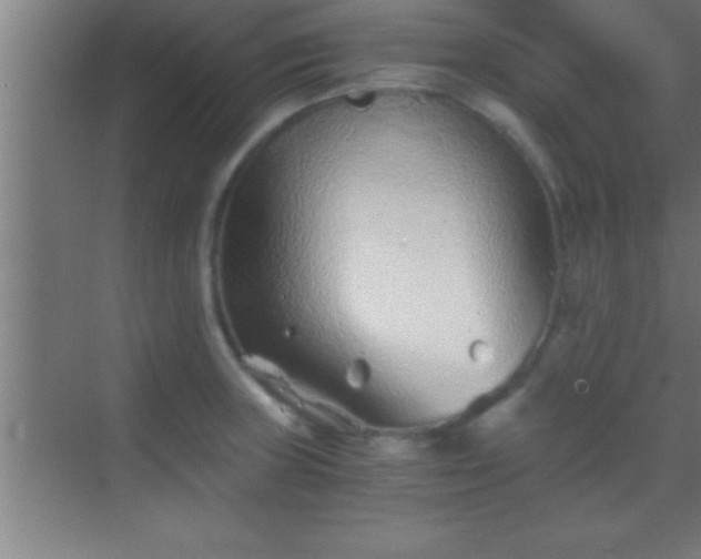 X0000069831235200605261832