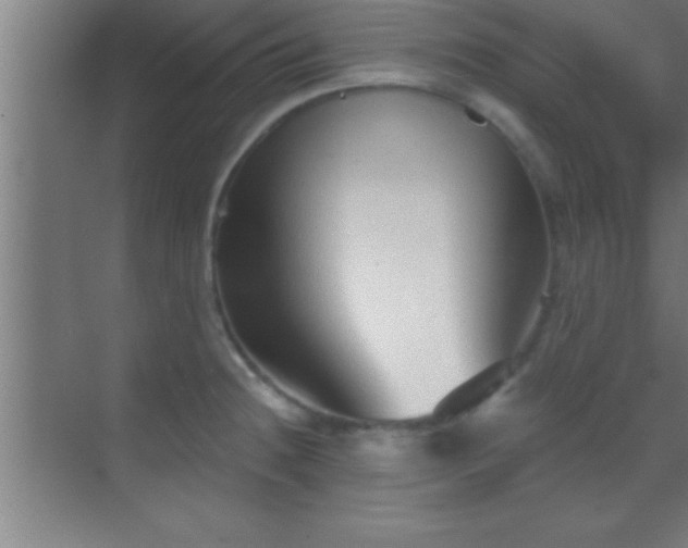 X0000069831236200605261832