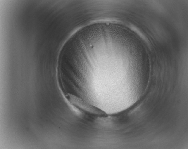 X0000069831237200605261832