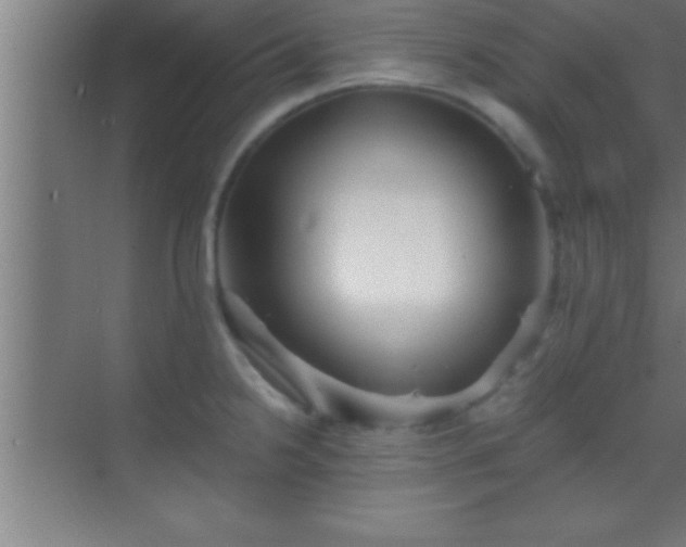 X0000069831238200605261833