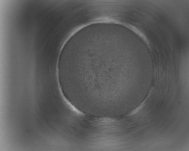 X0000069831239200605261833