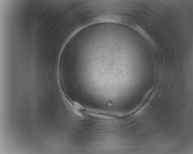 X0000069831240200605261833