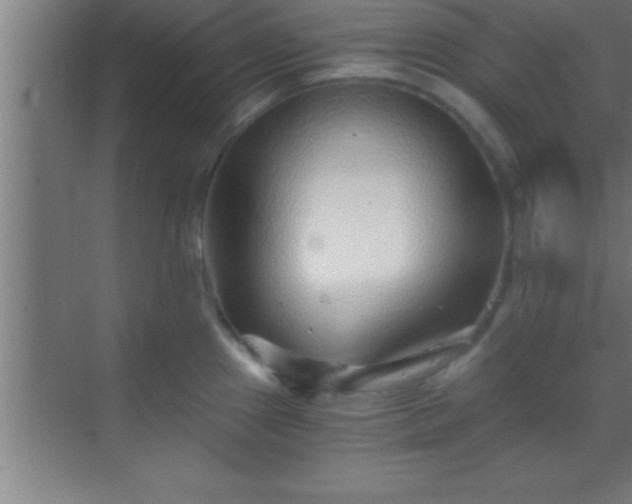 X0000069831241200605261833