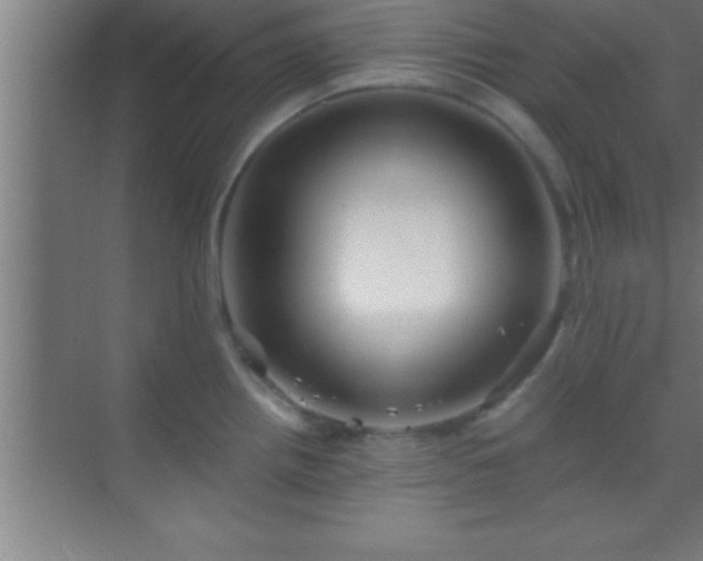 X0000069831242200605261833