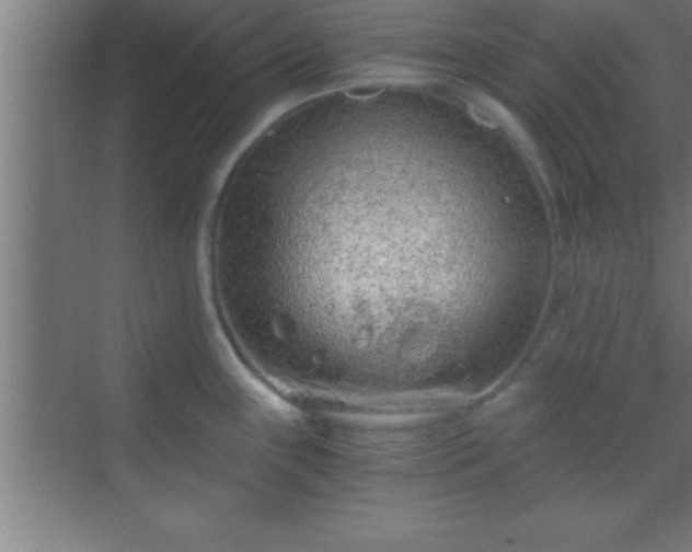 X0000069831243200605261833