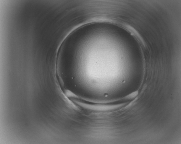 X0000069831244200605261833