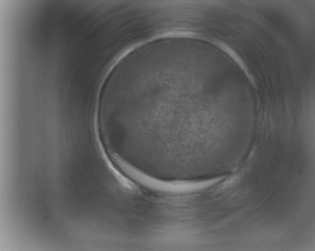 X0000069831245200605261833